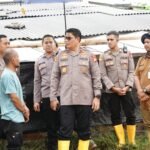 IMG 20250114 WA0271