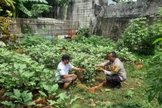 IMG 20250116 WA0261