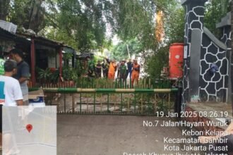 IMG 20250119 WA0115