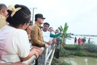 IMG 20250120 WA0272