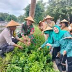 IMG 20250121 WA0206
