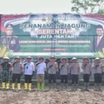 IMG 20250121 WA0274