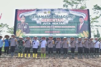 IMG 20250121 WA0274