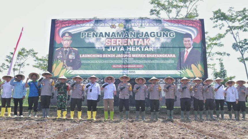 IMG 20250121 WA0274