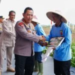 IMG 20250121 WA0282
