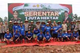 IMG 20250121 WA0290 1
