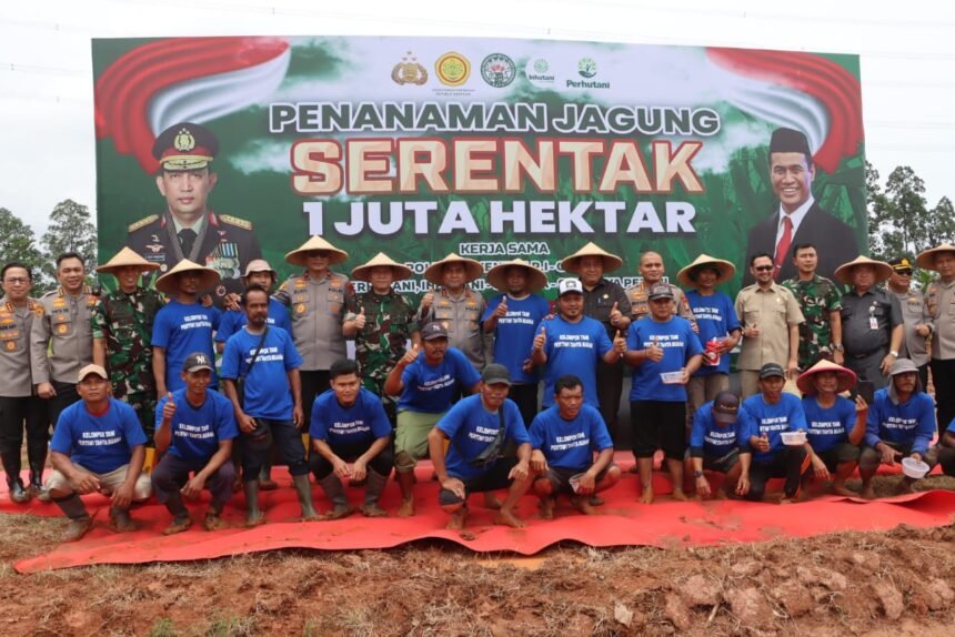 IMG 20250121 WA0290 1