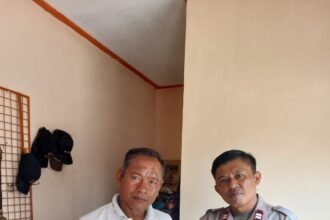 IMG 20250125 WA0183