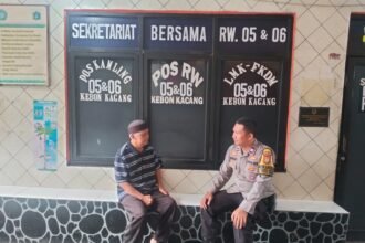 IMG 20250127 WA0293