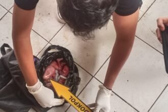 IMG 20250128 WA0067