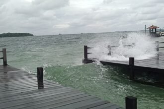 IMG 20250128 WA0243