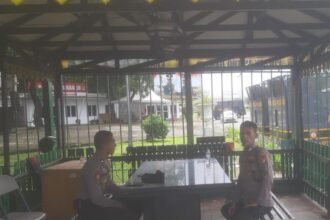 IMG 20250131 WA0174