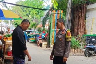IMG 20250201 WA0201