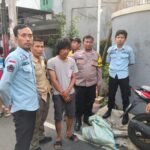 IMG 20250201 WA0207