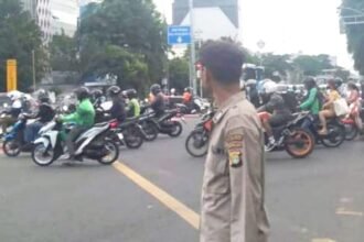 IMG 20250203 WA0145