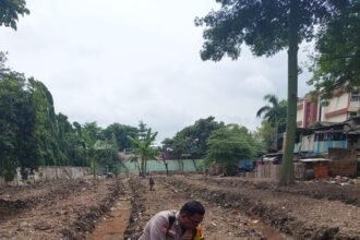 IMG 20250203 WA0178