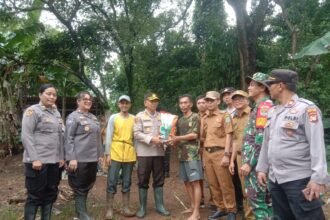 IMG 20250203 WA0206