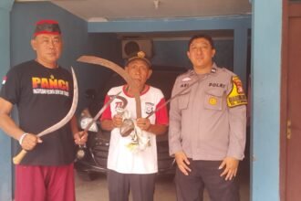 IMG 20250203 WA0238