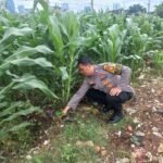 IMG 20250206 WA0165