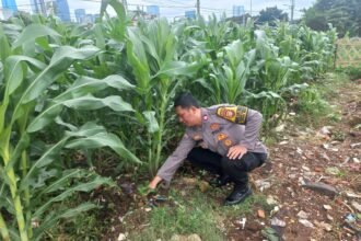 IMG 20250206 WA0165