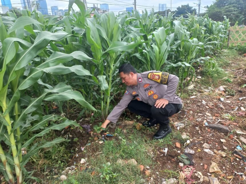 IMG 20250206 WA0165