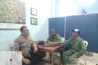 IMG 20250207 WA0114