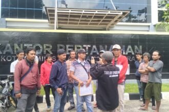 IMG 20250207 WA0204