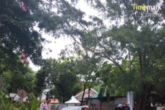 IMG 20250207 WA0267