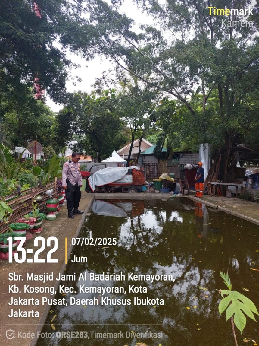 IMG 20250207 WA0267
