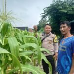 IMG 20250208 WA0077