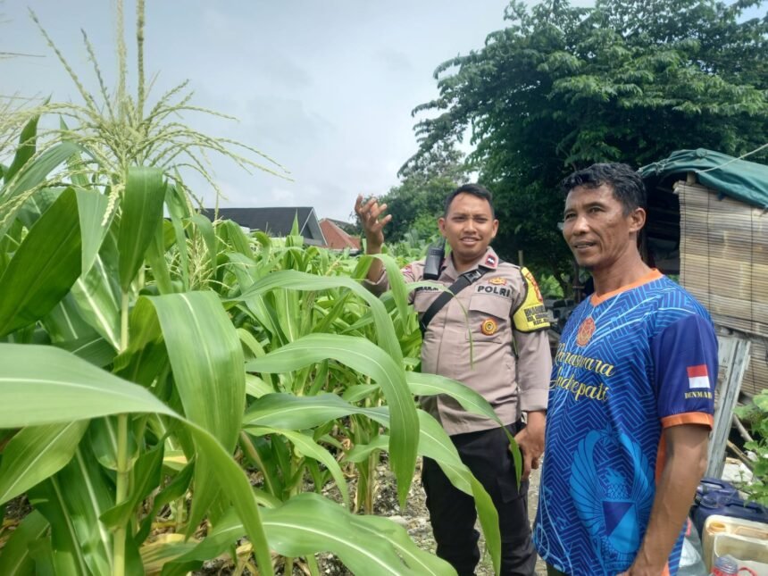IMG 20250208 WA0077
