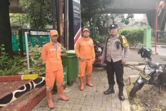 IMG 20250208 WA0122