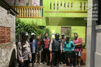 IMG 20250208 WA0202