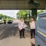 IMG 20250208 WA0251