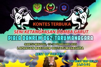 IMG 20250212 WA0104