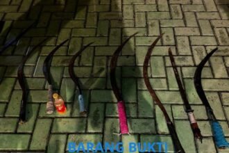 IMG 20250212 WA0248
