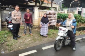 IMG 20250213 WA0175