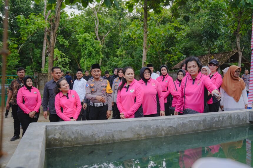 IMG 20250214 WA0319
