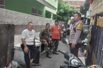 IMG 20250215 WA0040