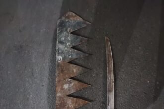 IMG 20250215 WA0051