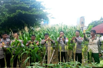 IMG 20250215 WA0111 1