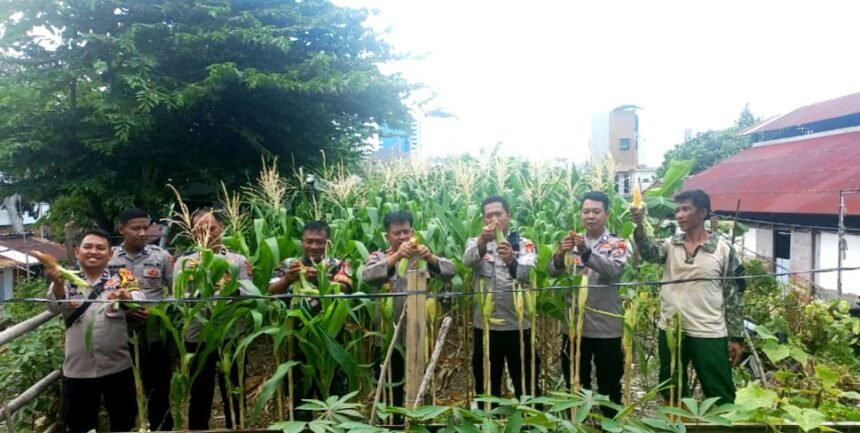 IMG 20250215 WA0111 1