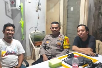IMG 20250215 WA0130