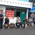 IMG 20250215 WA0166