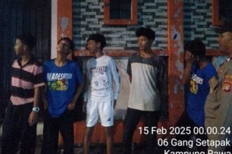 IMG 20250215 WA0175