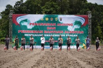 IMG 20250215 WA0224