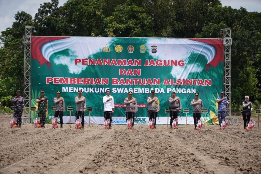 IMG 20250215 WA0224