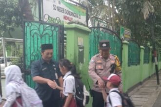 IMG 20250217 WA0028