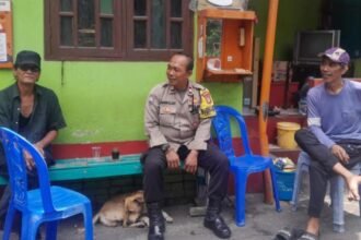 IMG 20250217 WA0117