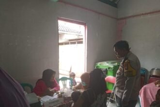 IMG 20250217 WA0154